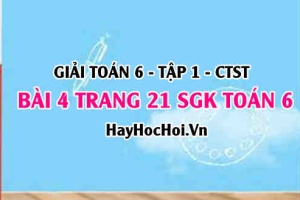 Giải bài 4 trang 21 Toán 6 Tập 1 SGK Chân trời sáng tạo